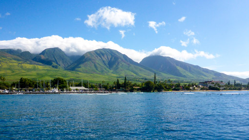 Maui No Ka Oi